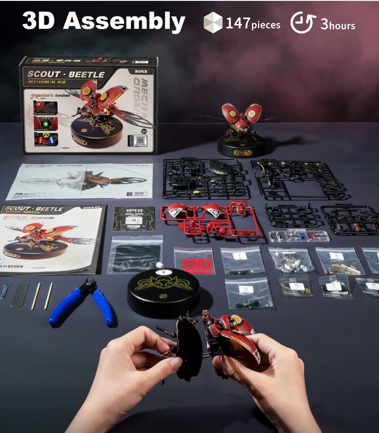 Scout Käfer – Bild 10